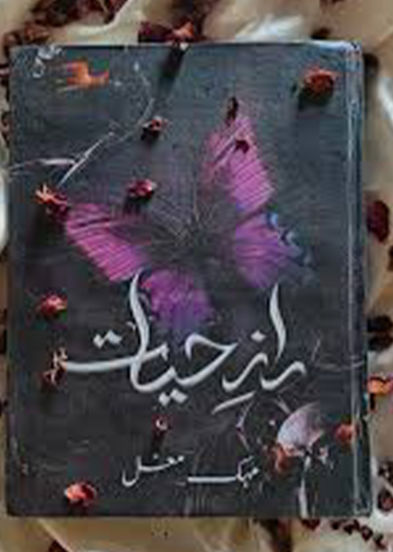 Raaz -e-Hayat Novel