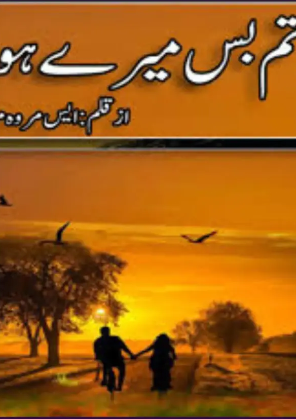 Tum Bas Mere Ho Novel By S Merwa Mirza