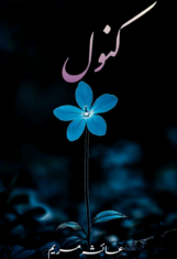 Kanwal By Ayesha Maryam