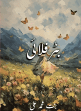 Butterfly By Bint E Muhammad Ali