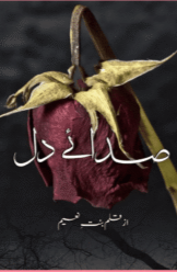 Saday E Dil By Bint E Naeem
