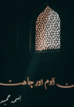 Ibn-e-Adam or chahat by Bisma Hameed