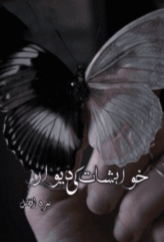 Khawahishat ki Diwaar by Nimra Afzal